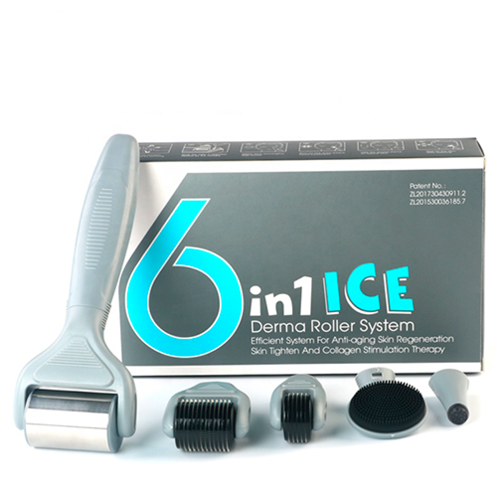 [DRS] НАБОР Мезороллер для лица 6 в 1 с ОХЛАЖДАЮЩЕЙ НАСАДКОЙ Derma Roller Kit With Ice Roller 6 in 1 Ice, 1 шт